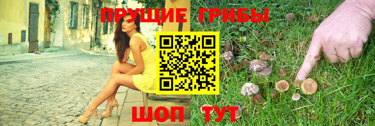 Псилоцибиновые грибы мухоморы  Вход с VPN  Псилоцибиновые грибы прущие грибы  Карталы 