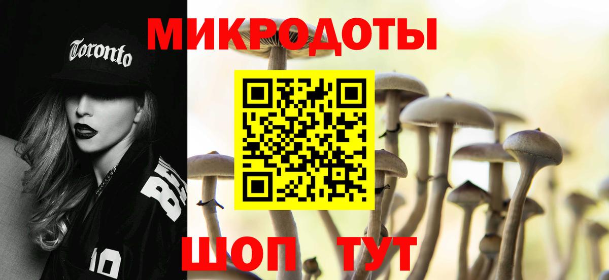 Псилоцибиновые грибы мицелий Карталы